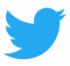 Twitter Logo